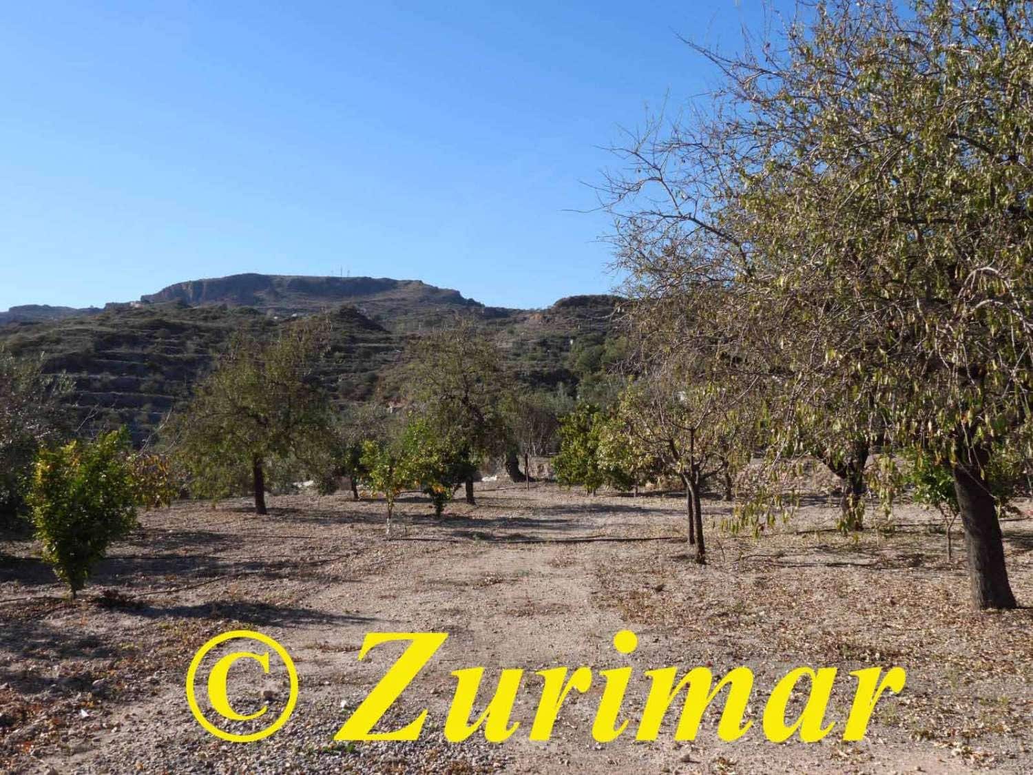 Maalaistalo myytävänä paikassa Felix - 125 000 € (Ref: 9574561)