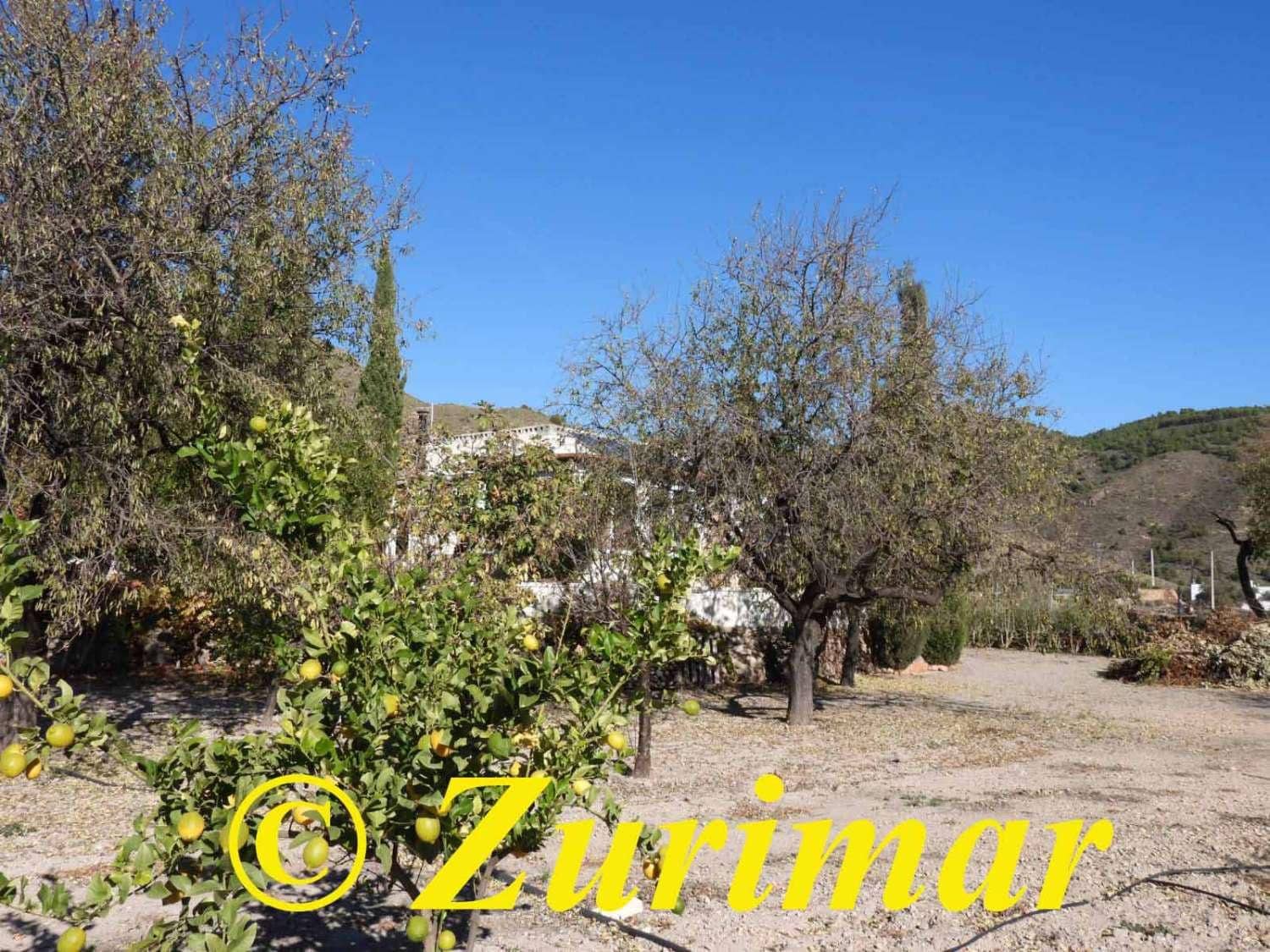 Maalaistalo myytävänä paikassa Felix - 125 000 € (Ref: 9574561)