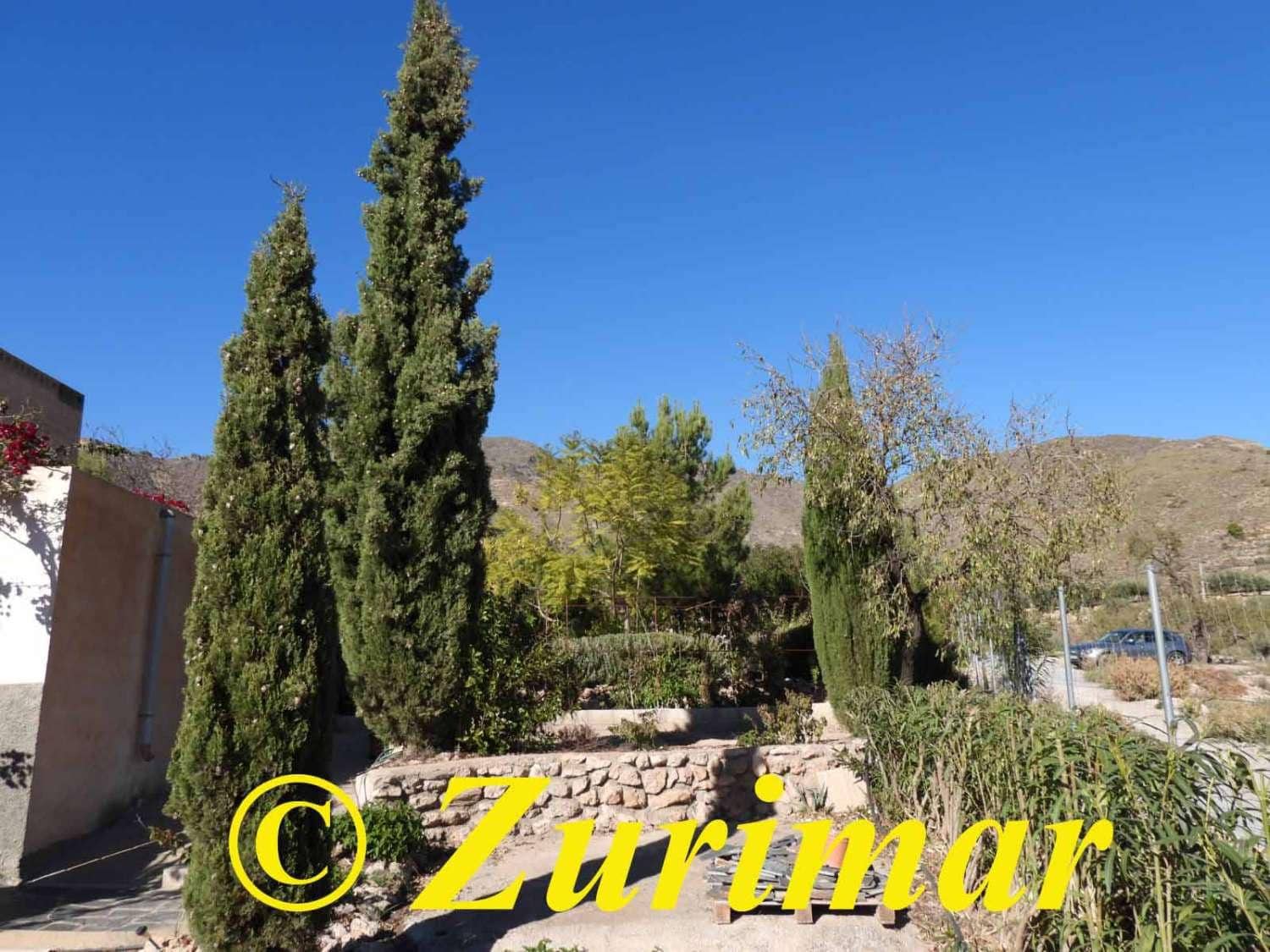 Maalaistalo myytävänä paikassa Felix - 125 000 € (Ref: 9574561)