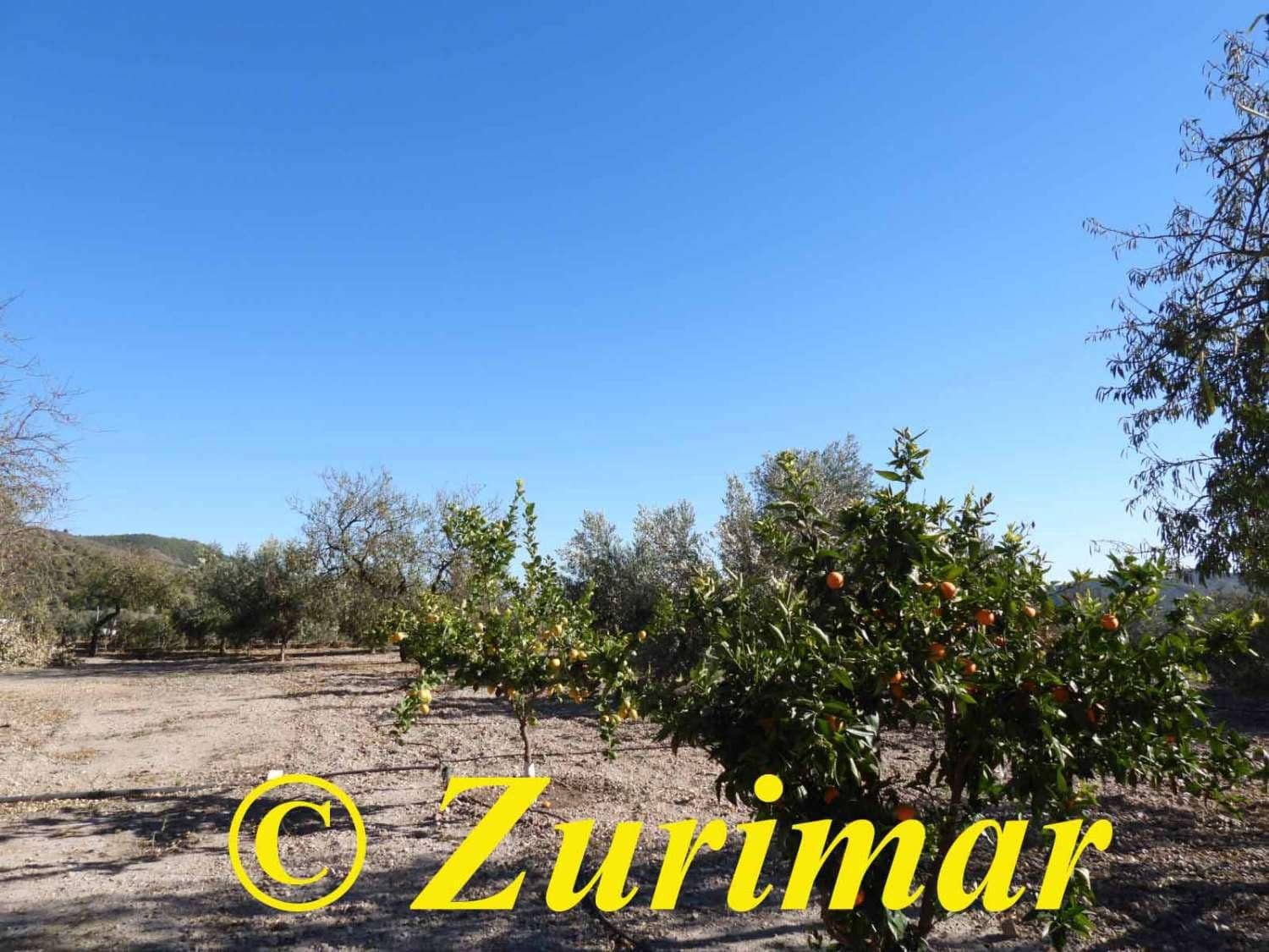 Maalaistalo myytävänä paikassa Felix - 125 000 € (Ref: 9574561)