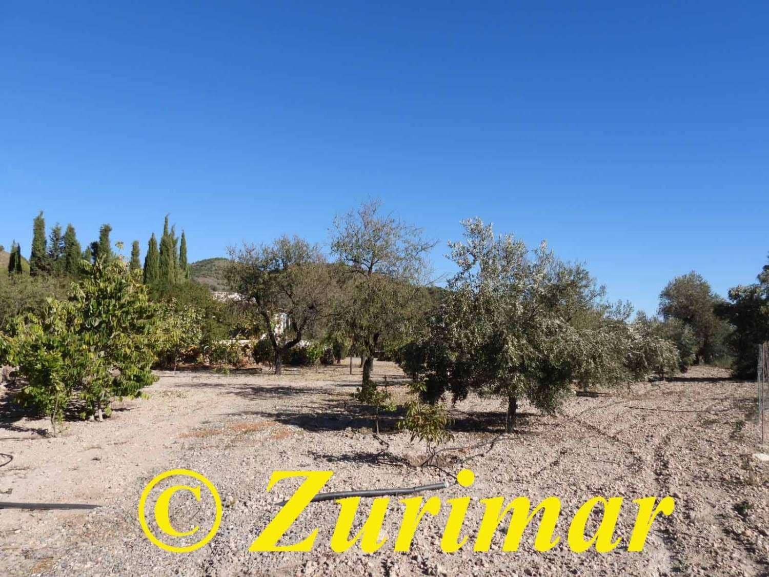 Maalaistalo myytävänä paikassa Felix - 125 000 € (Ref: 9574561)