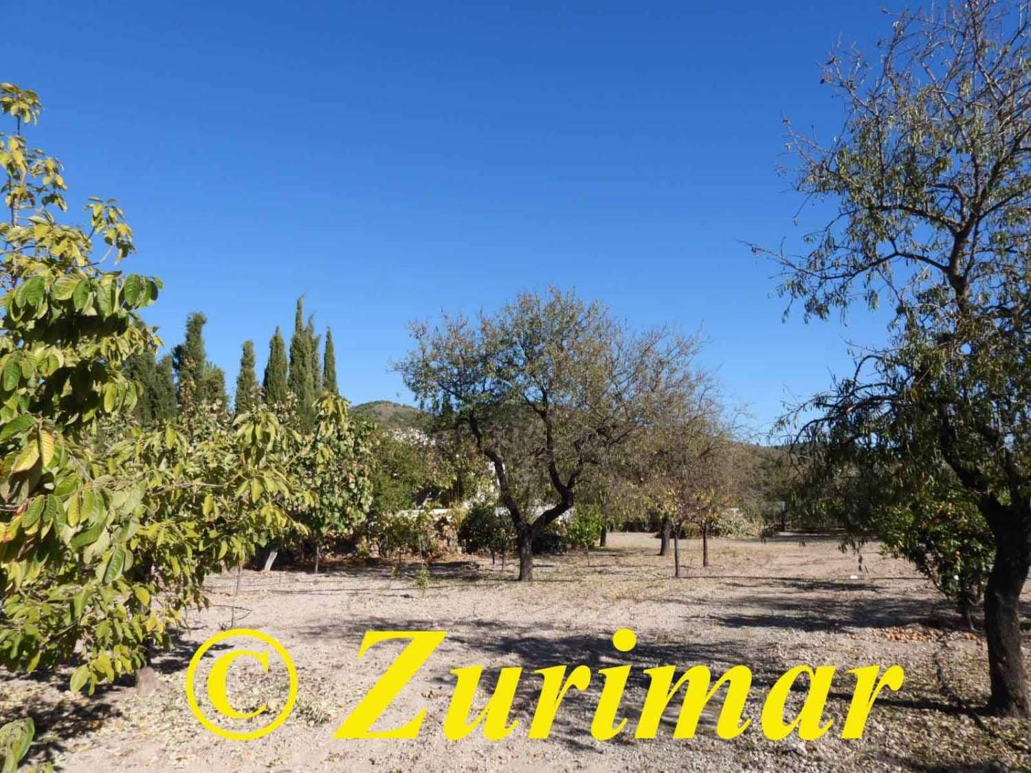 Maalaistalo myytävänä paikassa Felix - 125 000 € (Ref: 9574561)