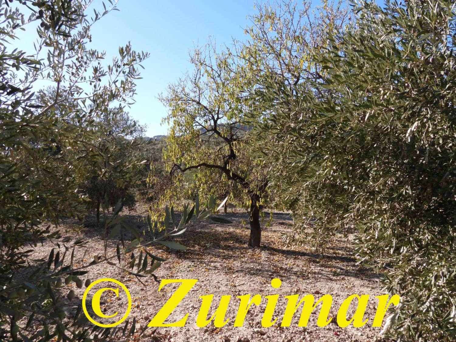 Maalaistalo myytävänä paikassa Felix - 125 000 € (Ref: 9574561)