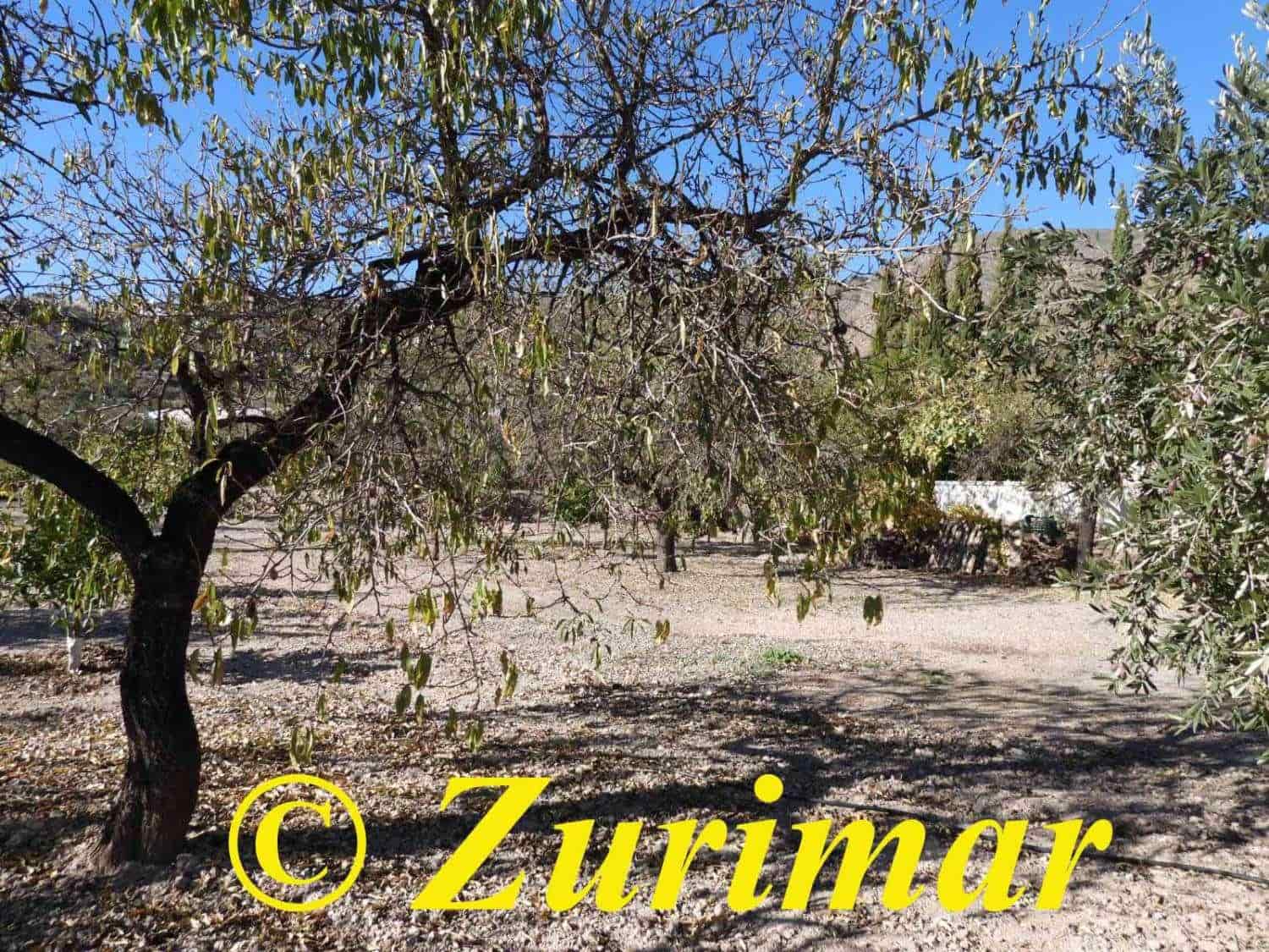 Maalaistalo myytävänä paikassa Felix - 125 000 € (Ref: 9574561)