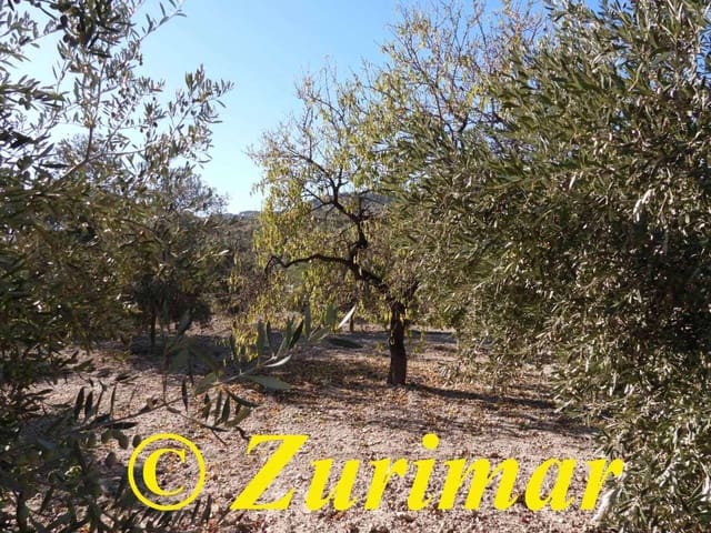 Maalaistalo myytävänä paikassa Felix - 125 000 € (Ref: 9574561)