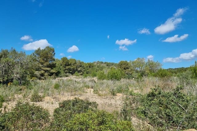 1 sovrum Finca/Hus på landet till salu i L'Ametlla de Mar - 29 000 € (Ref: 7490504)