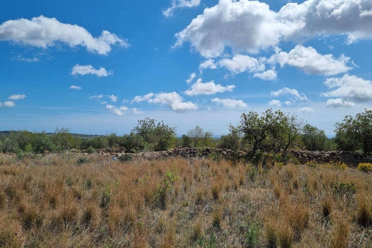 1 soveværelse Finca/Landehus til salg i L'Ametlla de Mar - € 29.000 (Ref: 7490504)