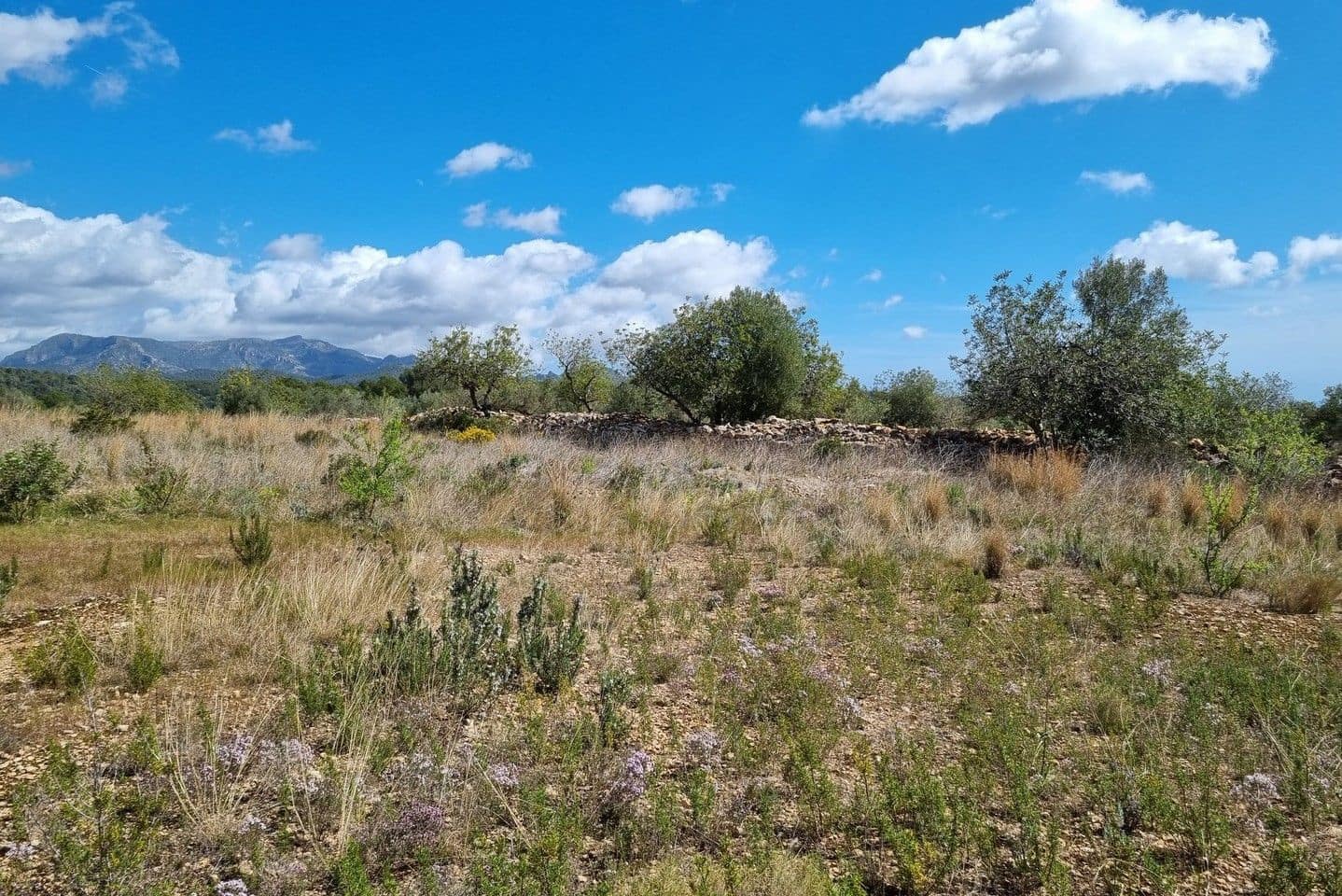 1 soveværelse Finca/Landehus til salg i L'Ametlla de Mar - € 29.000 (Ref: 7490504)