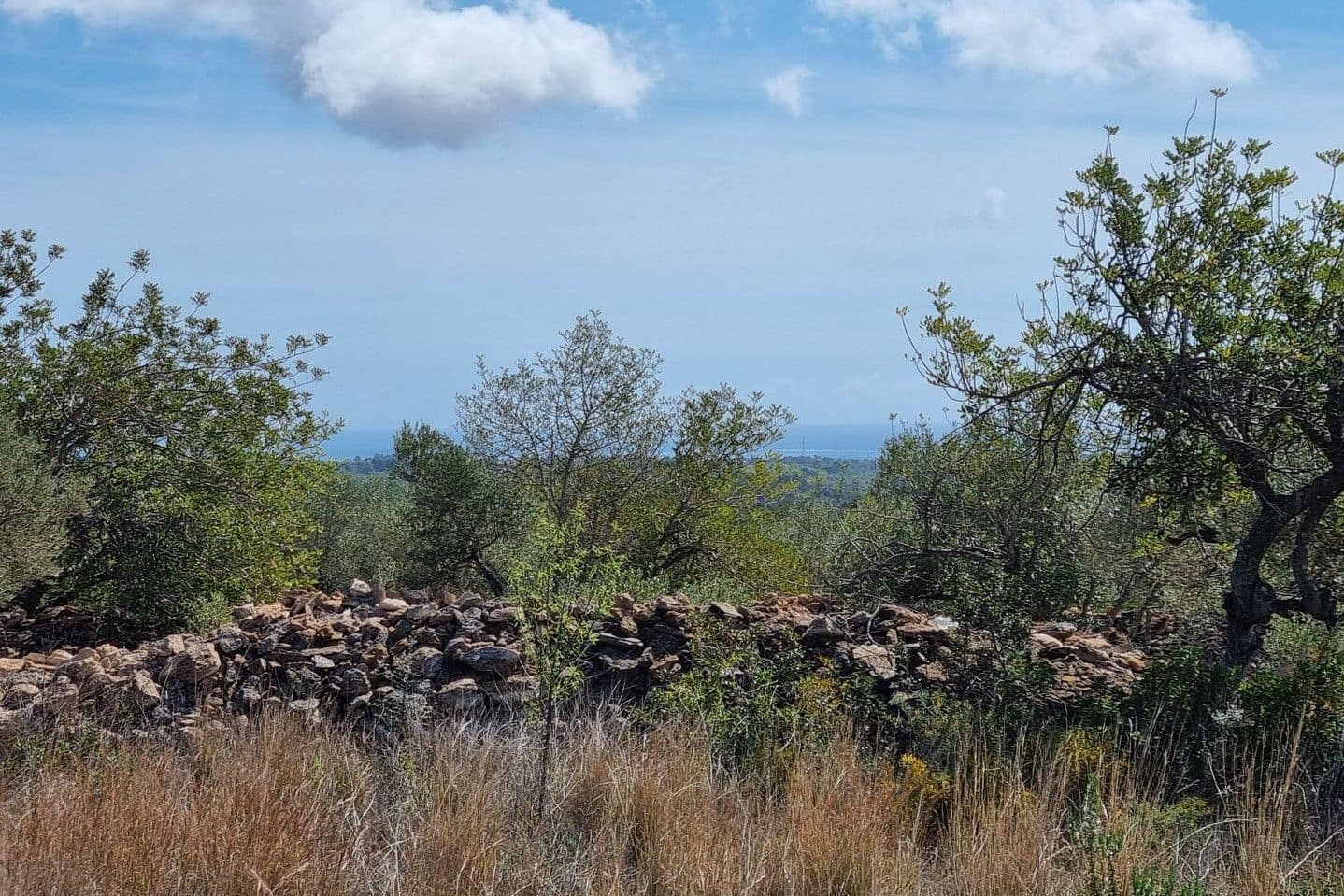 1 soveværelse Finca/Landehus til salg i L'Ametlla de Mar - € 29.000 (Ref: 7490504)