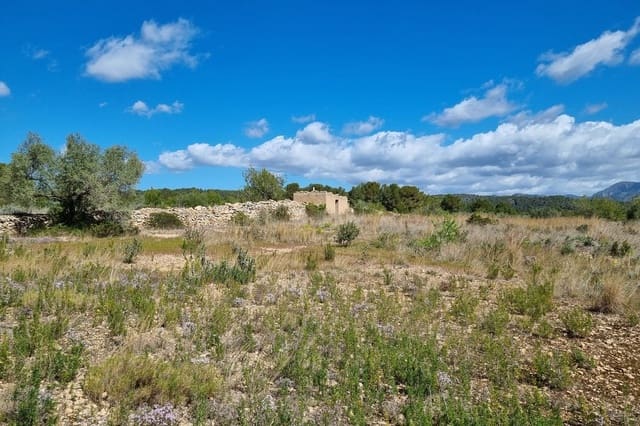 1 sovrum Finca/Hus på landet till salu i L'Ametlla de Mar - 29 000 € (Ref: 7490504)