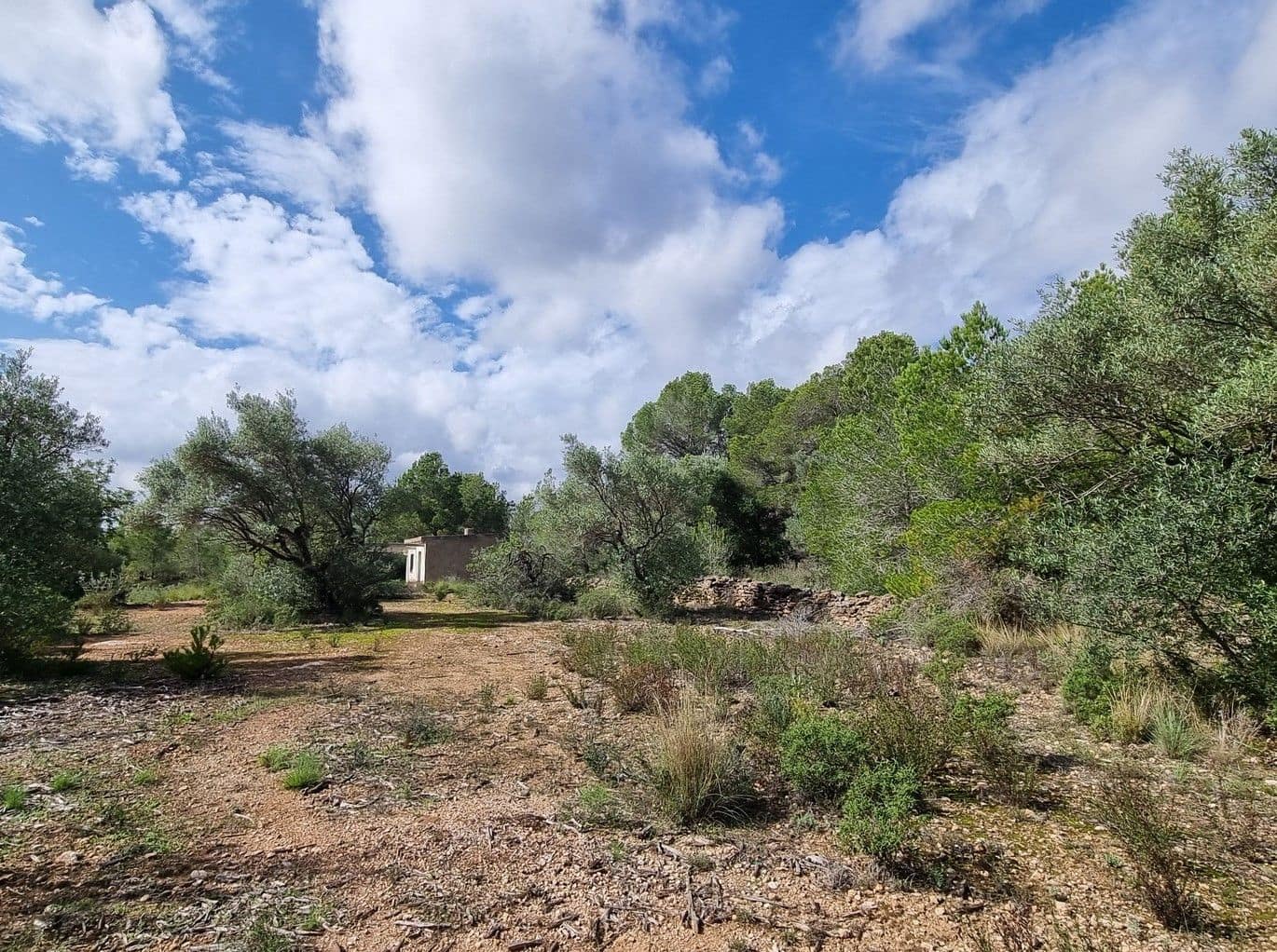 Finca/Hus på landet till salu i L'Ametlla de Mar - 99 000 € (Ref: 8589738)