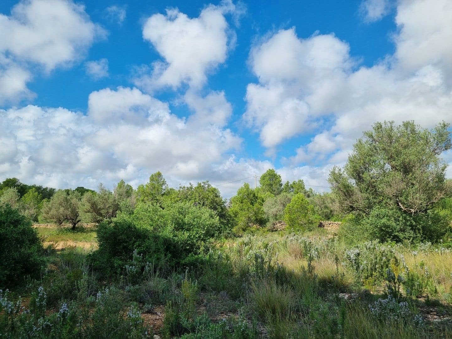 Finca/Hus på landet till salu i L'Ametlla de Mar - 99 000 € (Ref: 8589738)