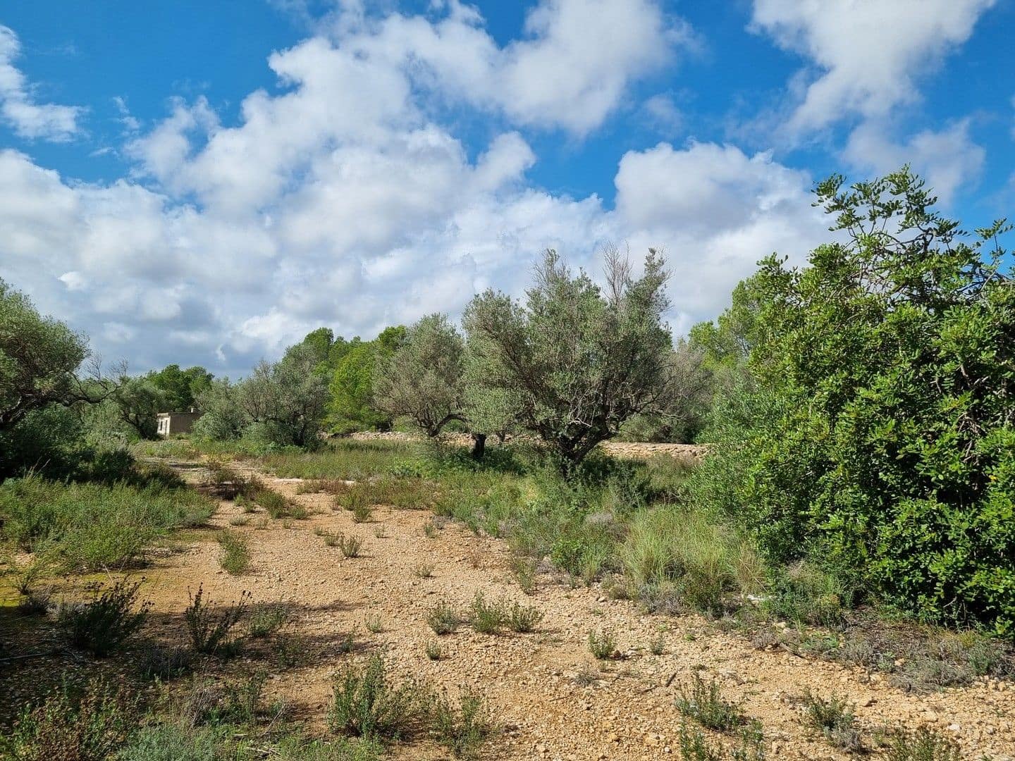 Finca/Hus på landet till salu i L'Ametlla de Mar - 99 000 € (Ref: 8589738)