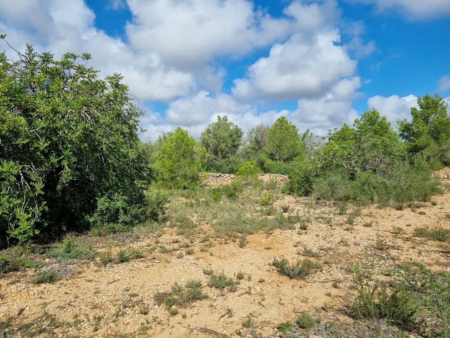 Finca/Hus på landet till salu i L'Ametlla de Mar - 99 000 € (Ref: 8589738)