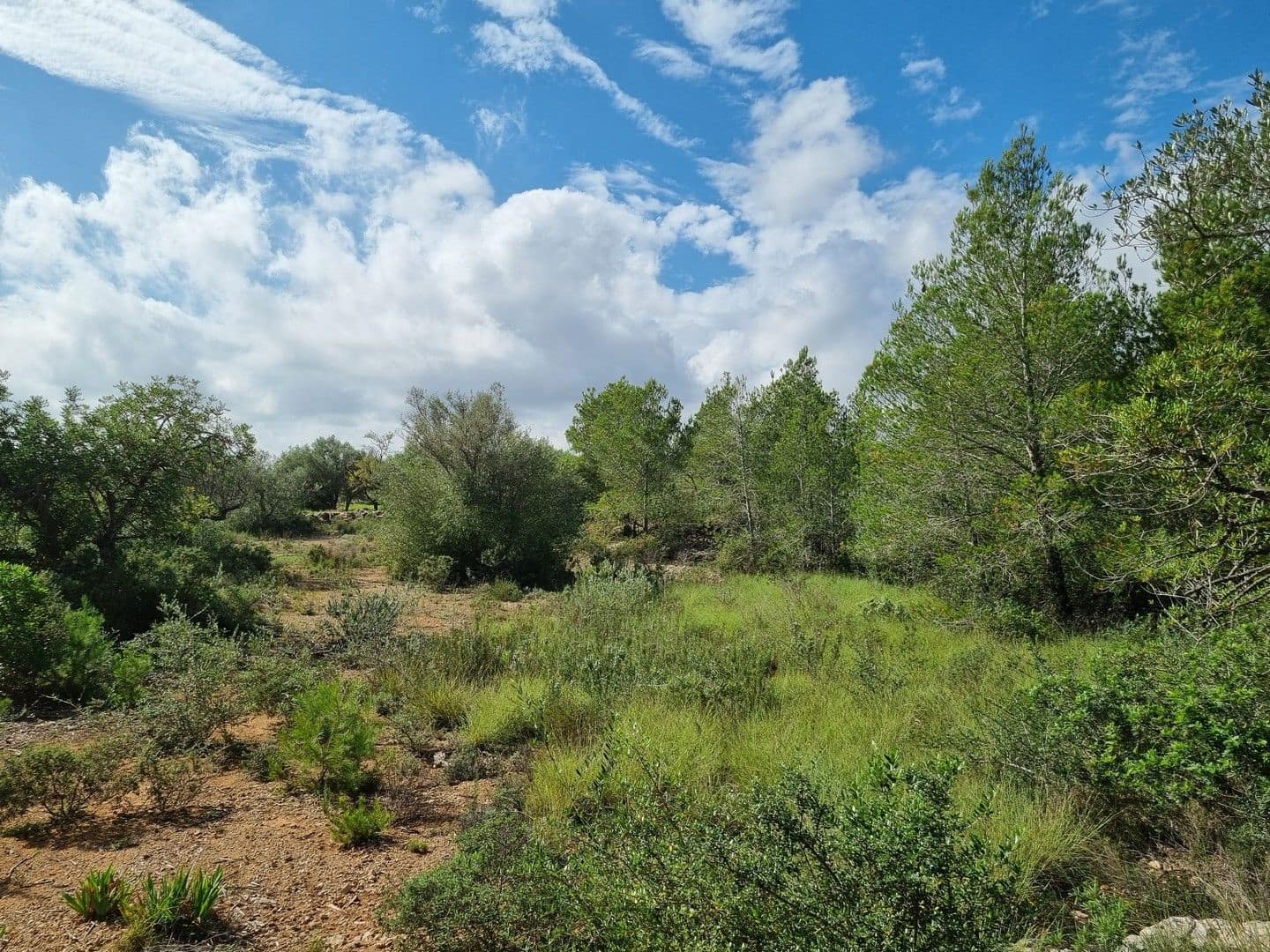 Finca/Hus på landet till salu i L'Ametlla de Mar - 99 000 € (Ref: 8589738)