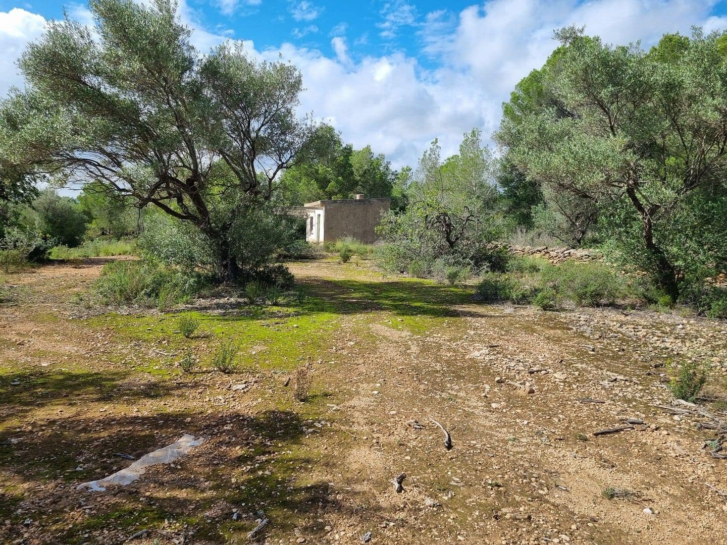 Finca/Hus på landet till salu i L'Ametlla de Mar - 99 000 € (Ref: 8589738)