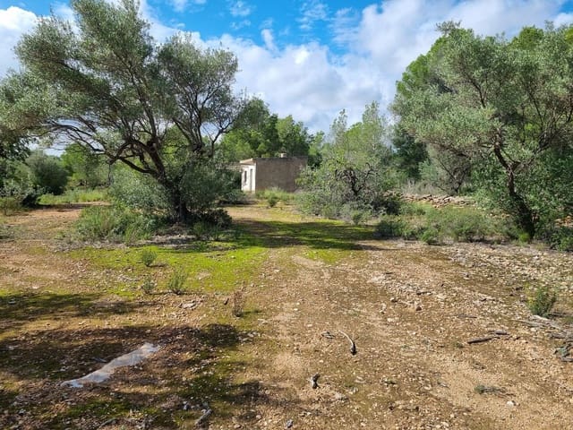 Finca/Hus på landet till salu i L'Ametlla de Mar - 99 000 € (Ref: 8589738)