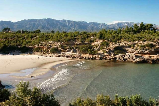 Kaupallinen myytävänä paikassa L'Ametlla de Mar - 168 000 € (Ref: 9319997)