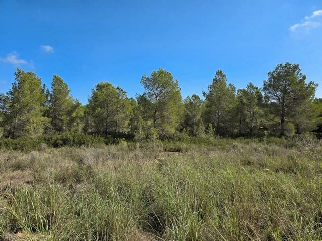 Tomt till salu i L'Ametlla de Mar - 96 000 € (Ref: 9339142)