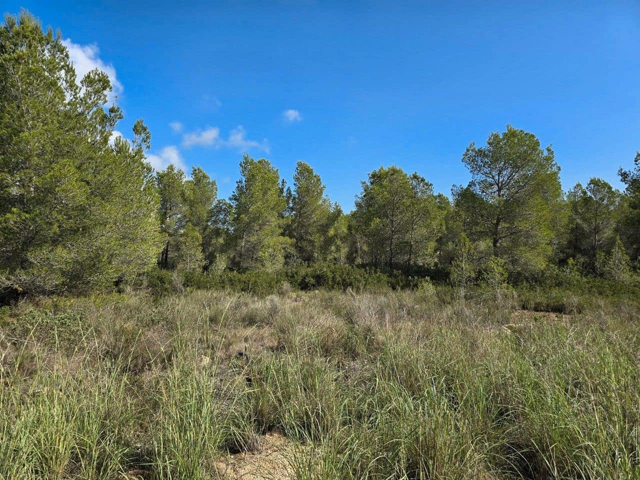 Area Edificabile in vendita in L'Ametlla de Mar - 96.000 € (Rif: 9339142)