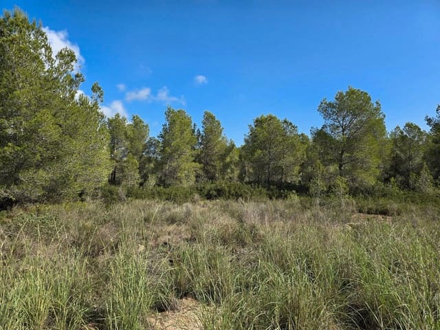 Tomt till salu i L'Ametlla de Mar - 96 000 € (Ref: 9339142)