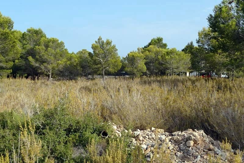 Tontti myytävänä paikassa L'Ametlla de Mar - 99 000 € (Ref: 9656865)