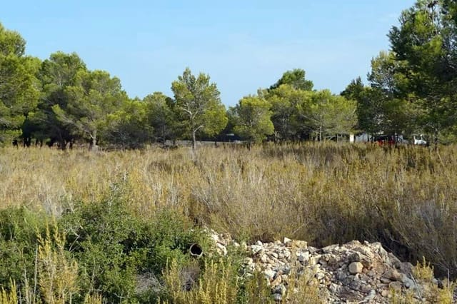 Tontti myytävänä paikassa L'Ametlla de Mar - 99 000 € (Ref: 9656865)