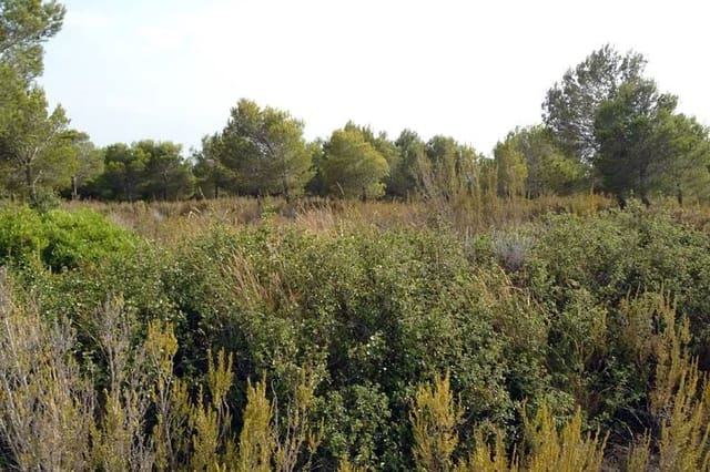 Tontti myytävänä paikassa L'Ametlla de Mar - 99 000 € (Ref: 9656865)