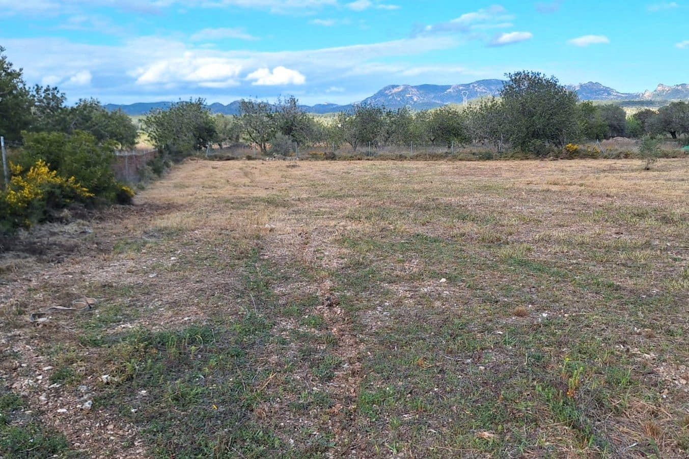 Finca/Country House for sale in L'Ametlla de Mar - € 139,000 (Ref: 9723486)