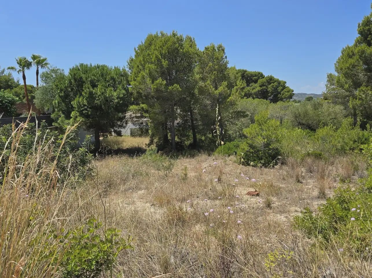Terreno para Construção para venda em L'Ametlla de Mar - 119 500 € (Ref: 9892932)