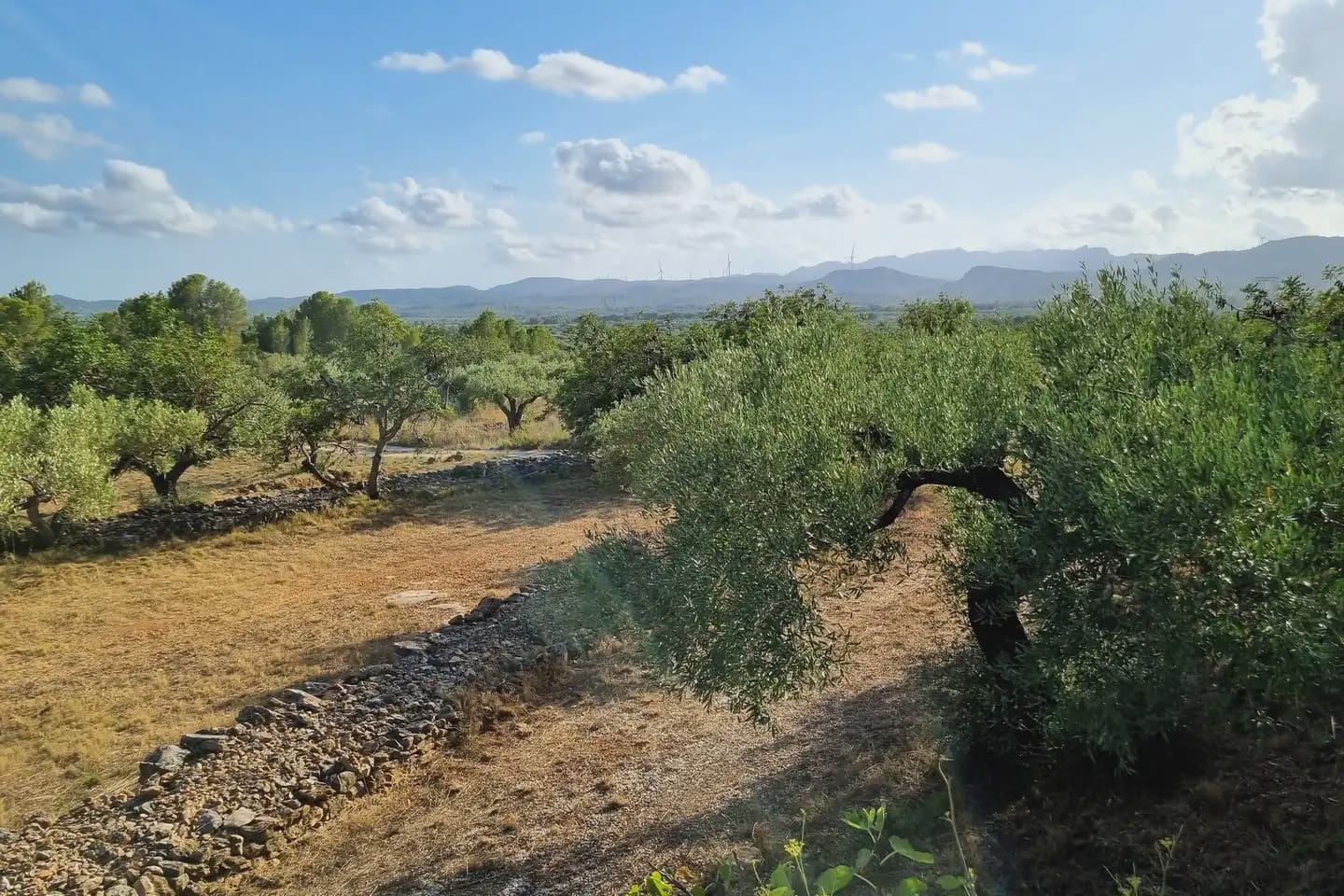 5 soveværelse Finca/Landehus til salg i L'Ametlla de Mar med swimmingpool - € 470.000 (Ref: 9950312)