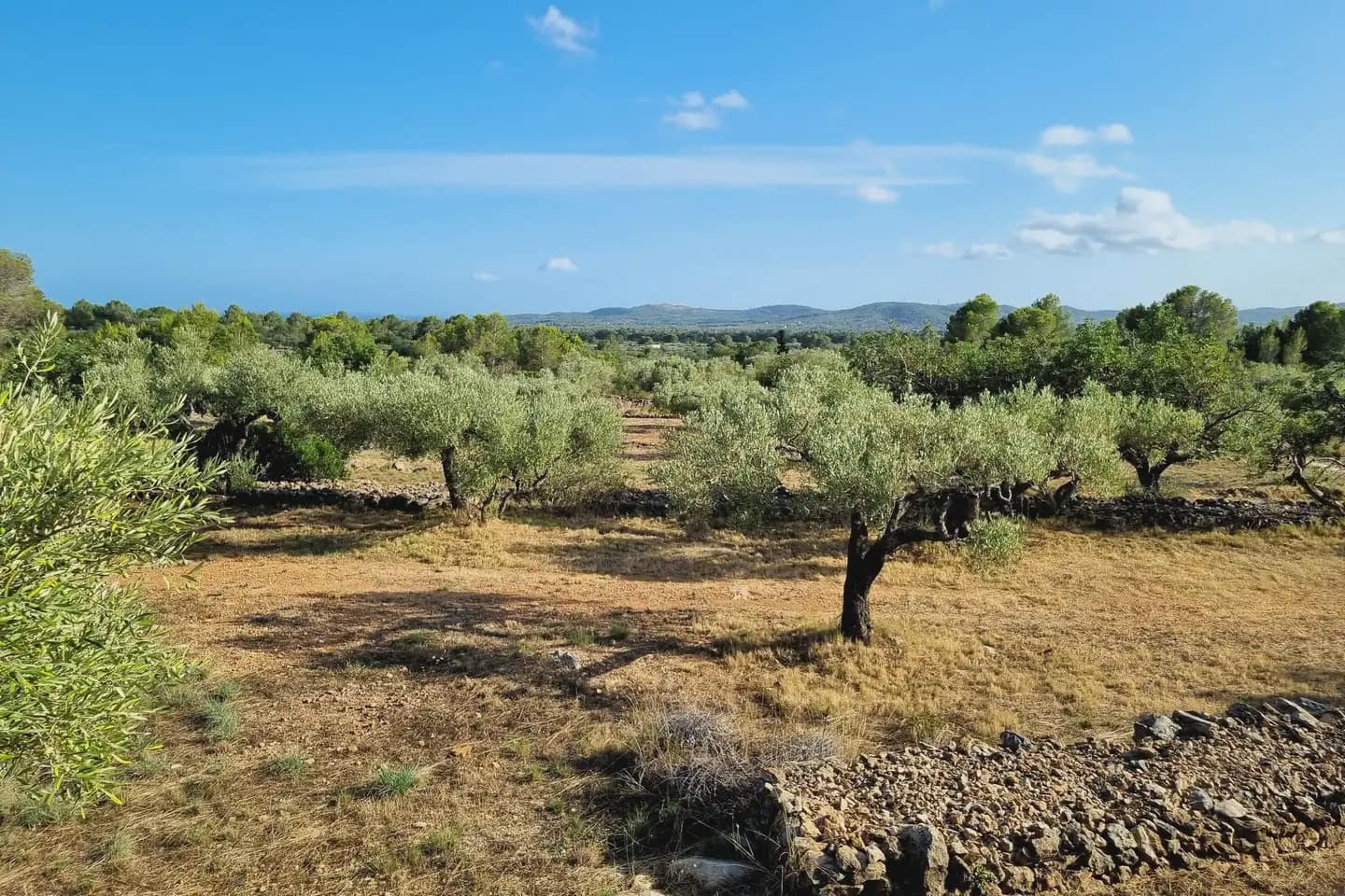 5 soveværelse Finca/Landehus til salg i L'Ametlla de Mar med swimmingpool - € 470.000 (Ref: 9950312)