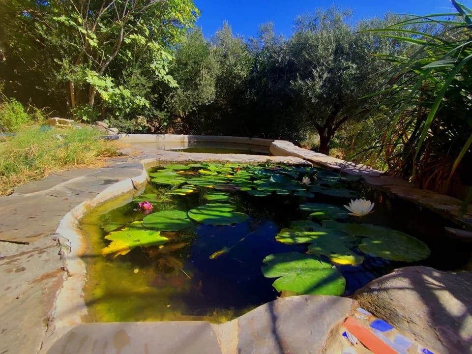 4 bedroom Finca/Country House for sale in Orgiva - € 199,000 (Ref: 9618547)