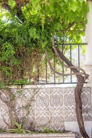 2 chambre Finca/Maison de Campagne à vendre à Comares - 98 500 € (Ref: 9042038)