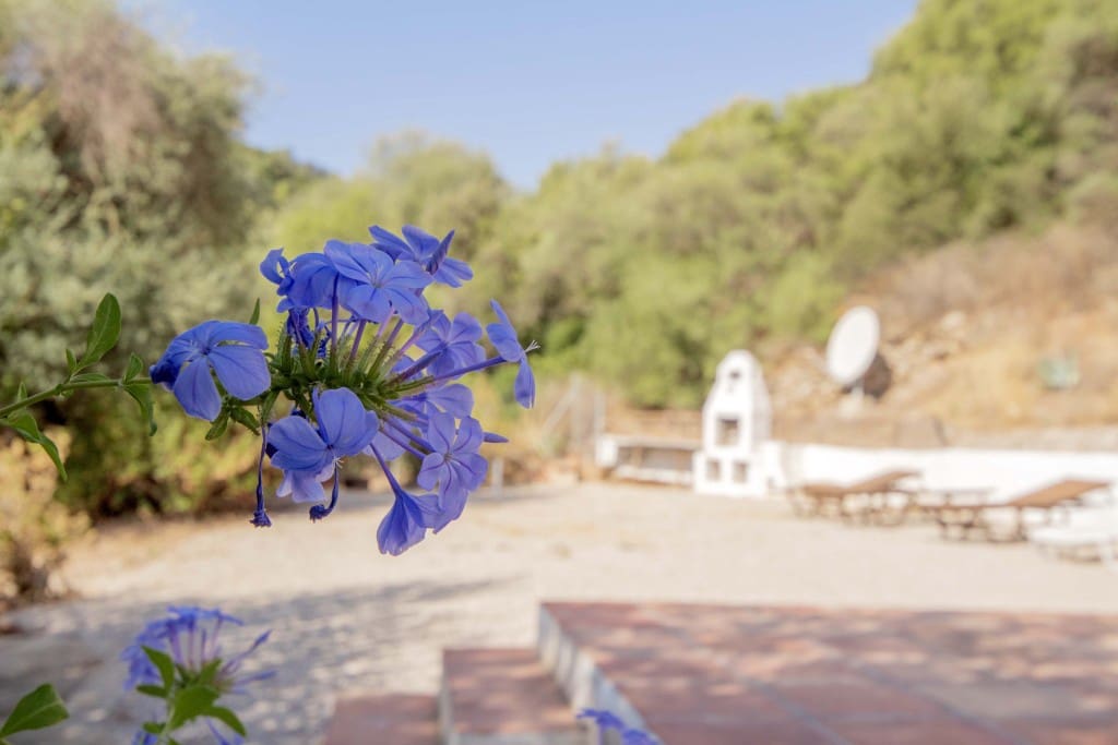 4 soveværelse Finca/Landehus til salg i Comares med swimmingpool garage - € 349.000 (Ref: 9183334)