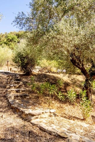 4 soverom Finca/Herregård til salgs i Comares med svømmebasseng garasje - € 349 000 (Ref: 9183334)