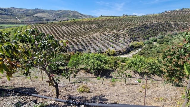 4 quarto Quinta/Casa Rural para venda em Vélez-Málaga com piscina - 695 000 € (Ref: 9542973)