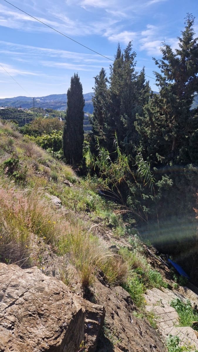 3 sypialnia Finka/Dom wiejski na sprzedaż w Benamargosa - 349 000 € (Ref: 9542975)