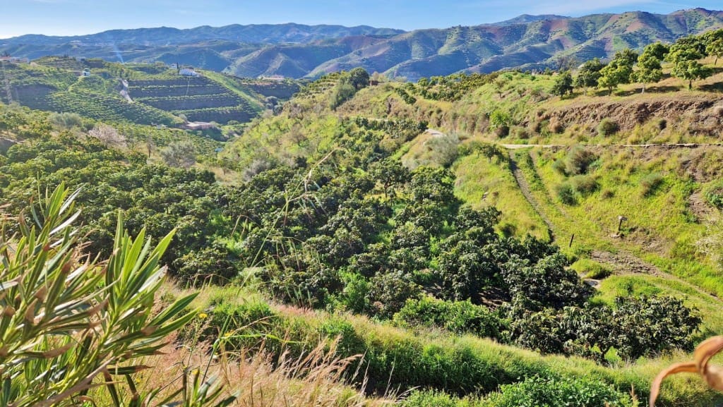 3 sypialnia Finka/Dom wiejski na sprzedaż w Benamargosa - 349 000 € (Ref: 9542975)