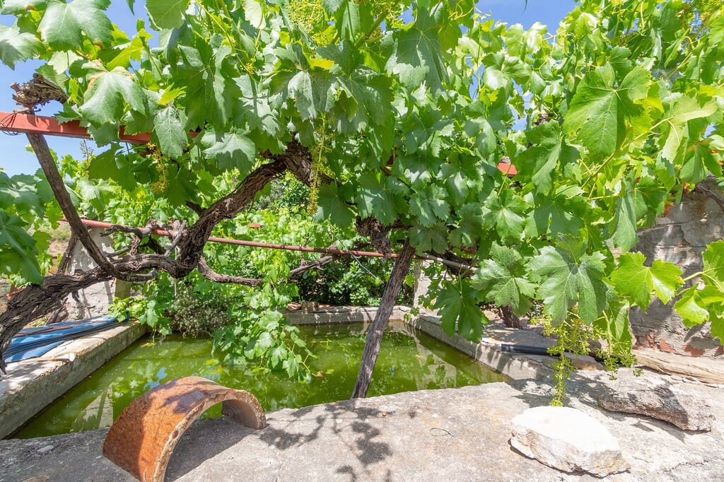 3 soveværelse Finca/Landehus til salg i Comares - € 110.000 (Ref: 9873048)