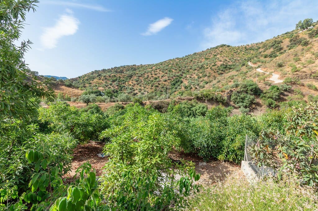 2 bedroom Finca/Country House for sale in Riogordo - € 249,000 (Ref: 9981823)