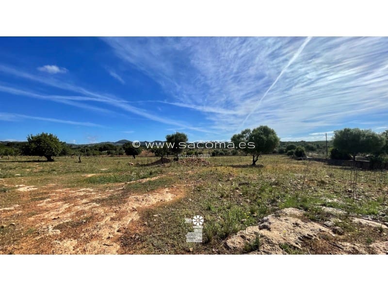 Teren niezagospodarowany na sprzedaż w Son Carrio - 370 000 € (Ref: 6411214)