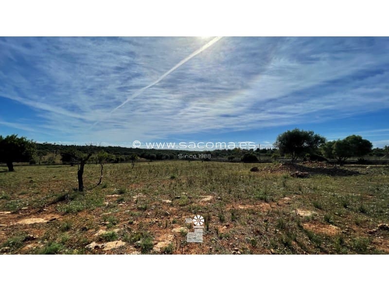 Teren niezagospodarowany na sprzedaż w Son Carrio - 370 000 € (Ref: 6411214)