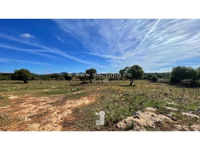 Teren niezagospodarowany na sprzedaż w Son Carrio, Sant Llorenç des Cardassar - 370 000 € (Ref: 6411214)