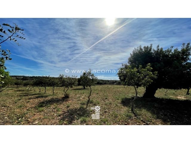 Teren niezagospodarowany na sprzedaż w Son Carrio, Sant Llorenç des Cardassar - 370 000 € (Ref: 6411214)