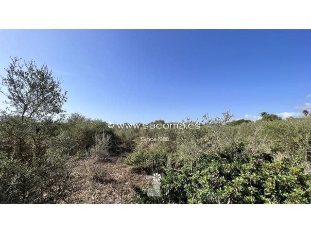 Rakentamaton maa myytävänä paikassa Sa Coma, Sant Llorenç des Cardassar - 215 000 € (Ref: 7055863)