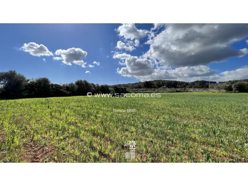 Grunde uden byggetilladelser til salg i Arta - € 790.000 (Ref: 7446069)