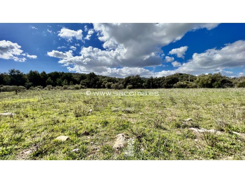 Grunde uden byggetilladelser til salg i Arta - € 790.000 (Ref: 7446069)