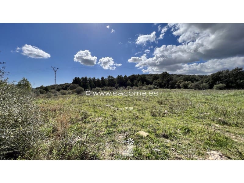 Grunde uden byggetilladelser til salg i Arta - € 790.000 (Ref: 7446069)