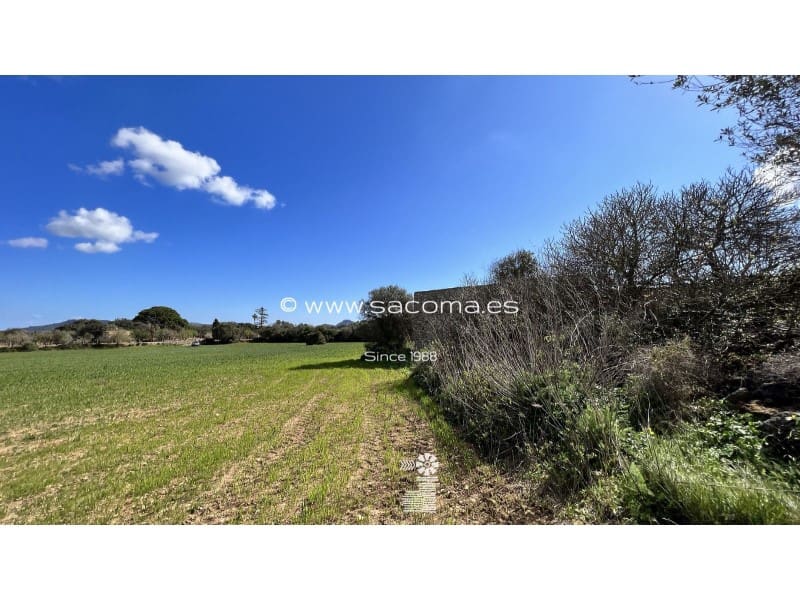 Grunde uden byggetilladelser til salg i Arta - € 790.000 (Ref: 7446069)